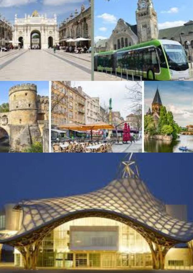 Le Muse Quartier Ville Proche Transport Parking Prive Un-Sejour-A-Part Metz Ngoại thất bức ảnh